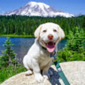 Meet your Posher, Hayley